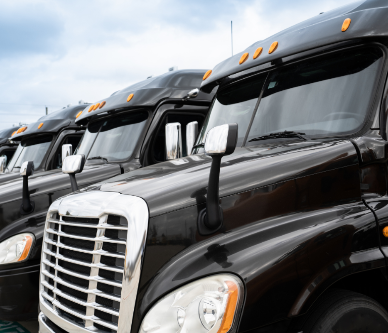 group of black semi trucks